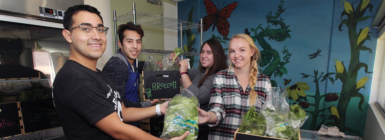 Students sort vegetables grown at CSUSB 