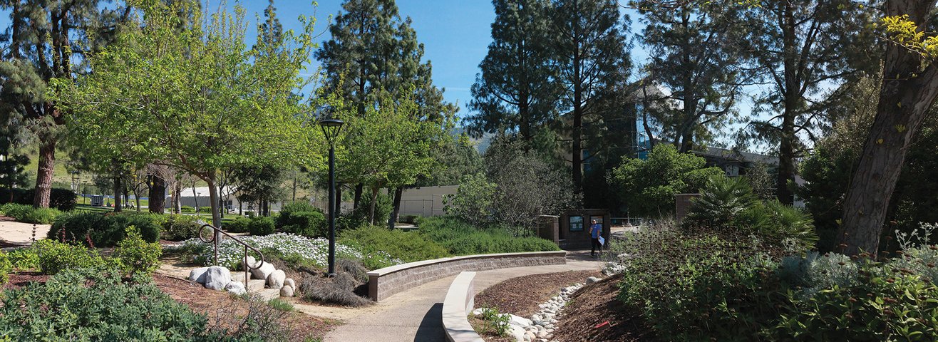 Scenic view of campus with green trees